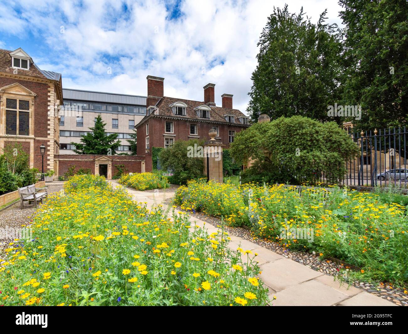 CAMBRIDGE ENGLAND TRUMPINGTON STREET ST CATHARINE'S COLLEGE AIUOLE COLORATE IN ESTATE Foto Stock