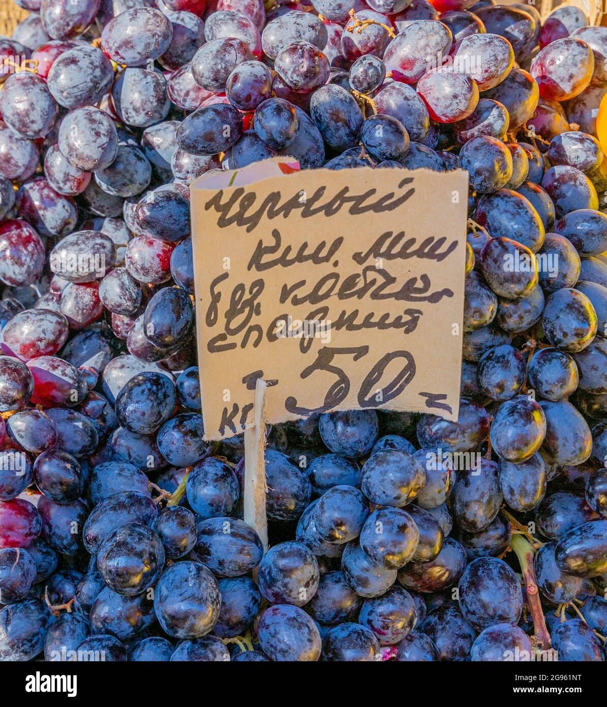 Uve blu fresche vendute a 50 rubli al chilo, o 6 dollari, al mercato di Sennoy, il più economico a San Pietroburgo, Russia Foto Stock