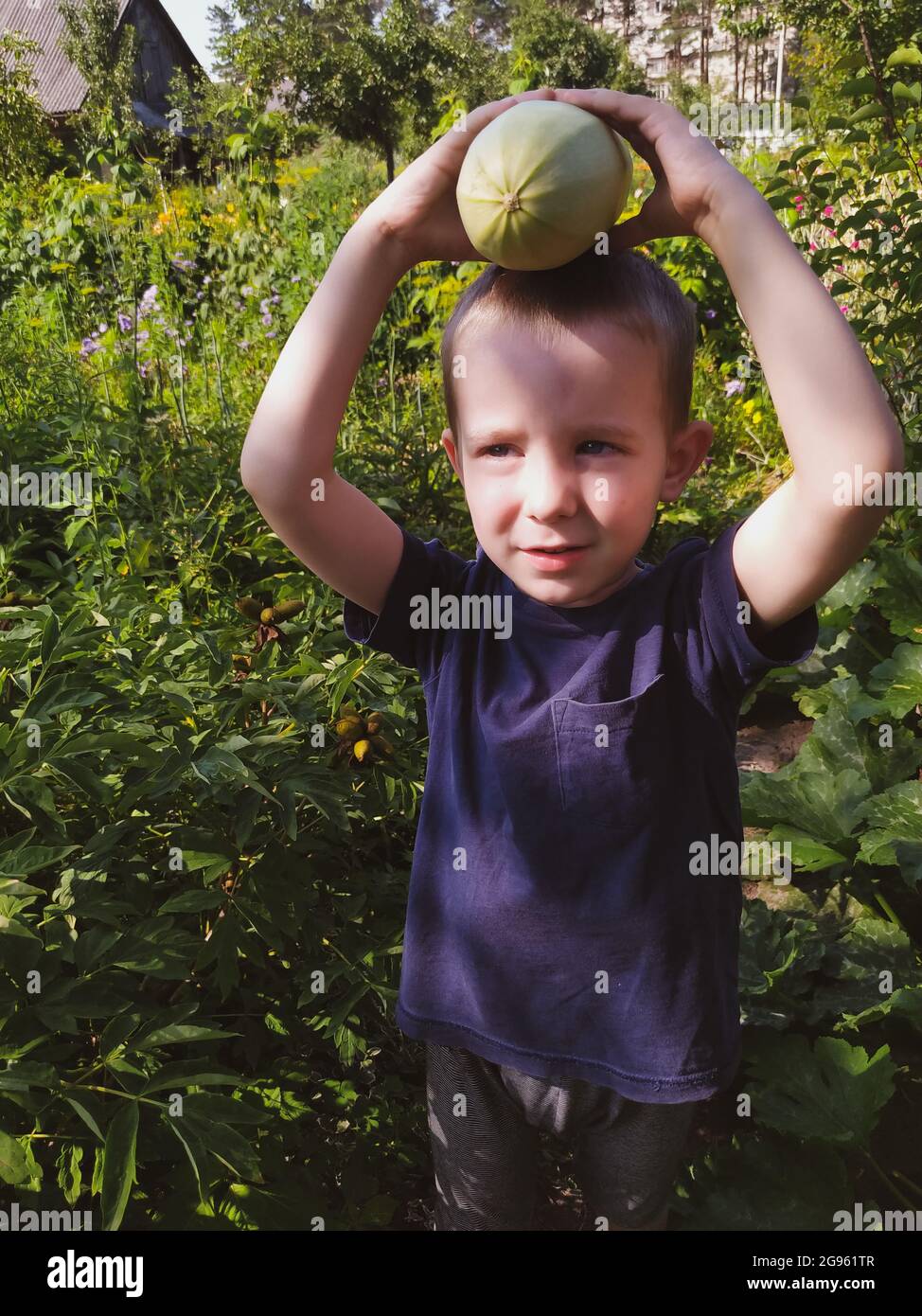 Ragazzo che tiene un midollo di verdure con le mani sulla testa in giardino Foto Stock