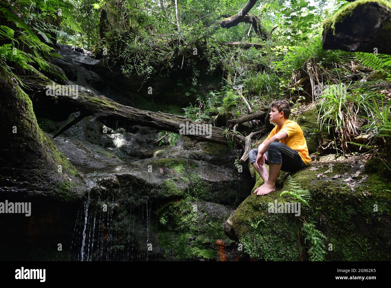 Ragazzo che esplora la campagna britannica alla cascata di Loamhole nello Shropshire Inghilterra Regno Unito. Bambini che esplorano la natura Gran Bretagna avventura bambino britannico Foto Stock