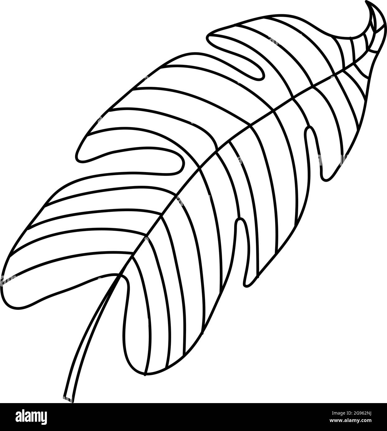 Vettore monolina singolo disegnando pianta esotica di monstera di foglia tropicale. Concetto decorativo stampabile di houseplant per ornamento domestico del manifesto di decorazione della parete Illustrazione Vettoriale