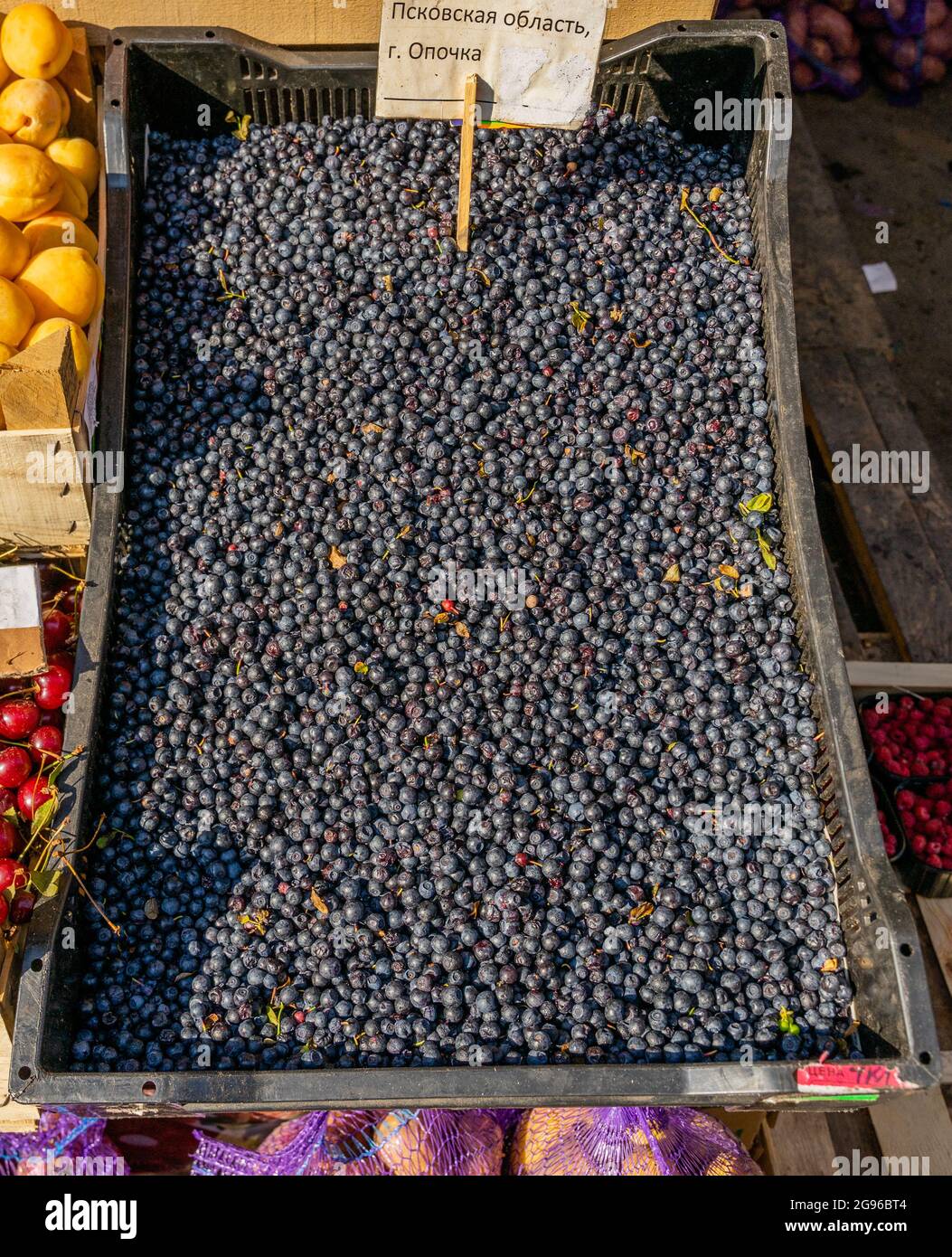 Mirtilli esposti al mercato di Sennoy, il più economico di San Pietroburgo, Russia Foto Stock