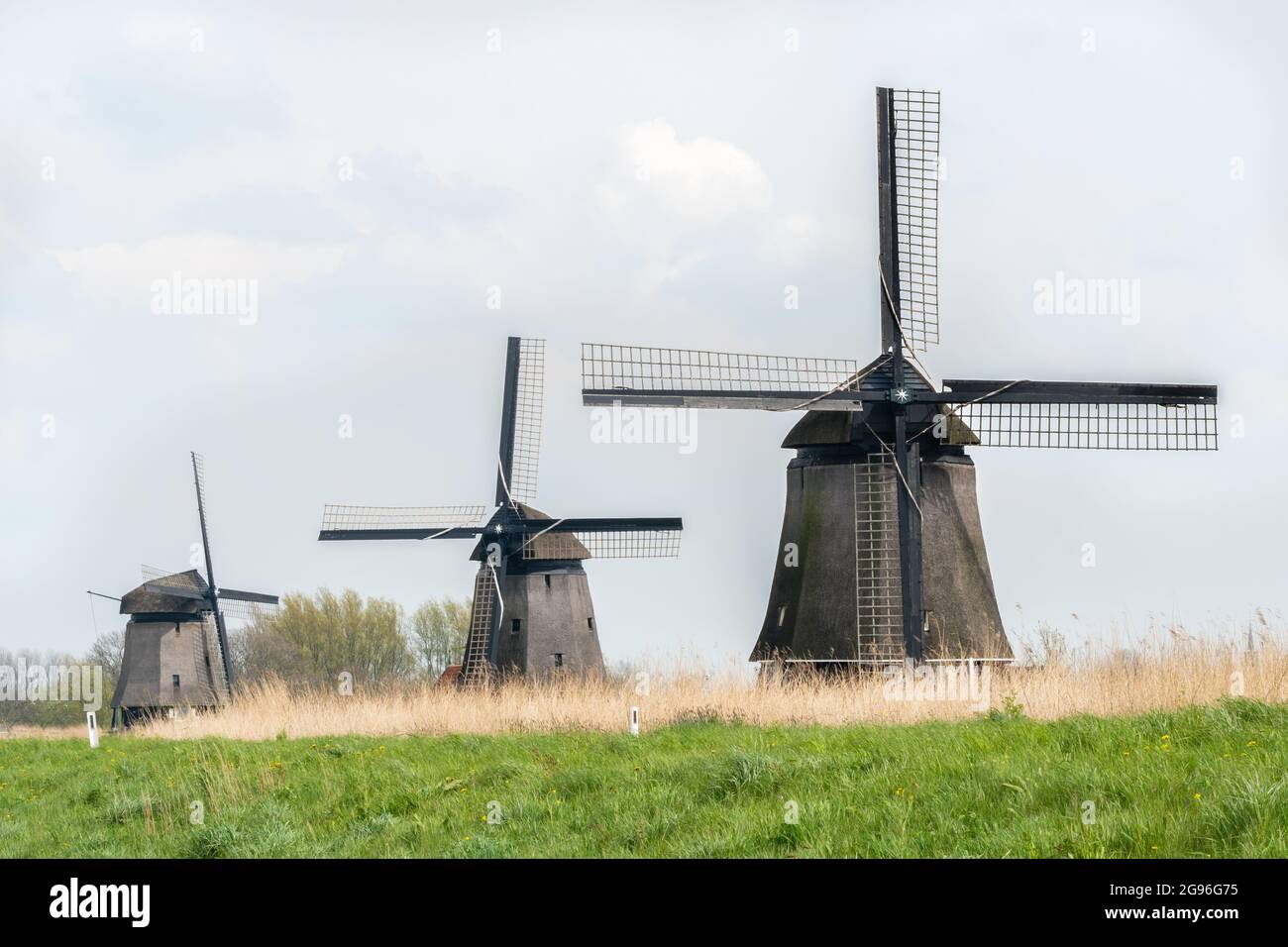 Tre mulini a vento sul Noordschermerdijk, Oterleek, Rustenburg, fotografati dal Molendijk. Da davanti a dietro: Strijkmolen L, Strijkmolen K, Strijkmo Foto Stock