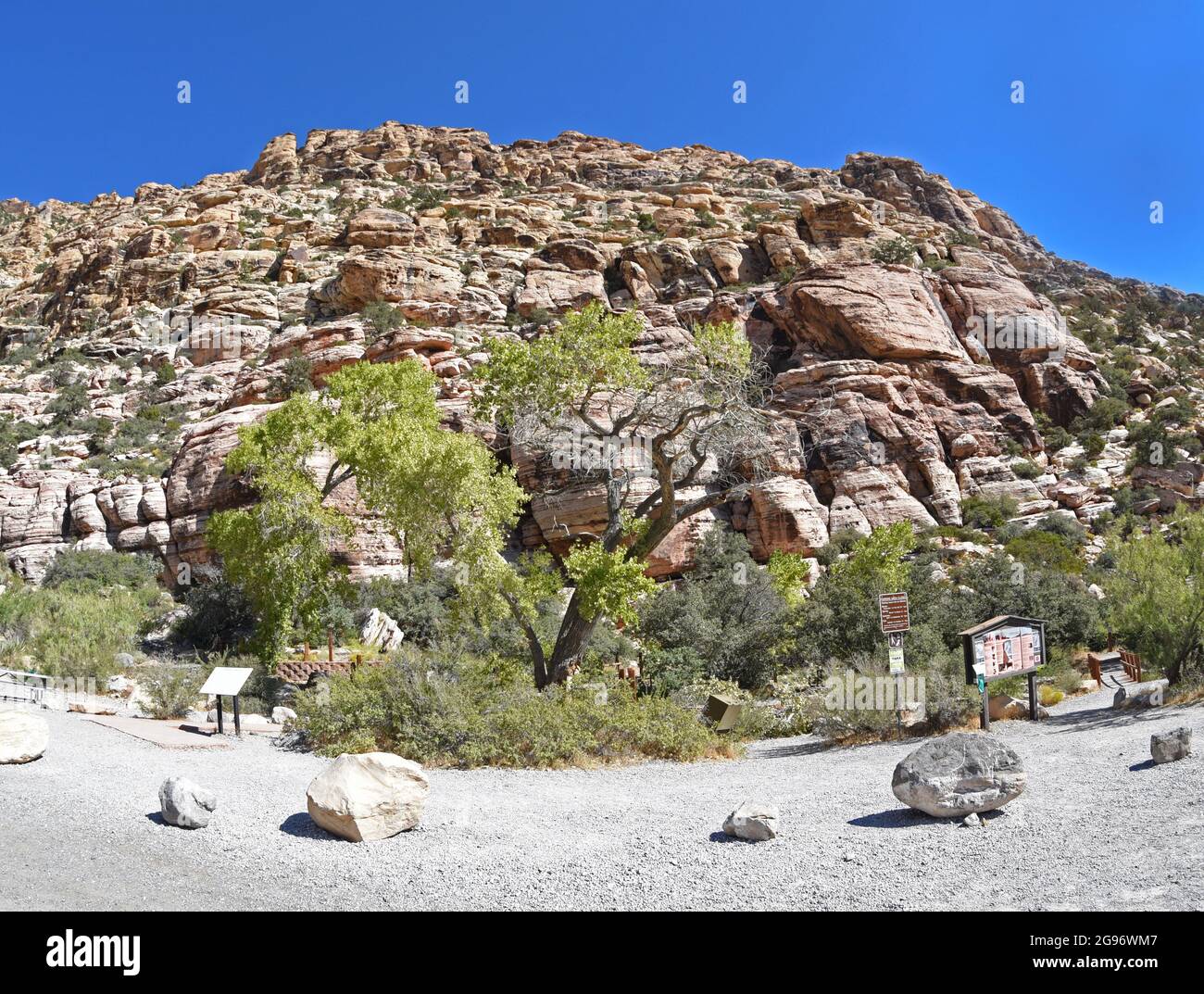 Area ricreativa nazionale del Red Rock Canyon, Las Vegas, Nevada Foto Stock