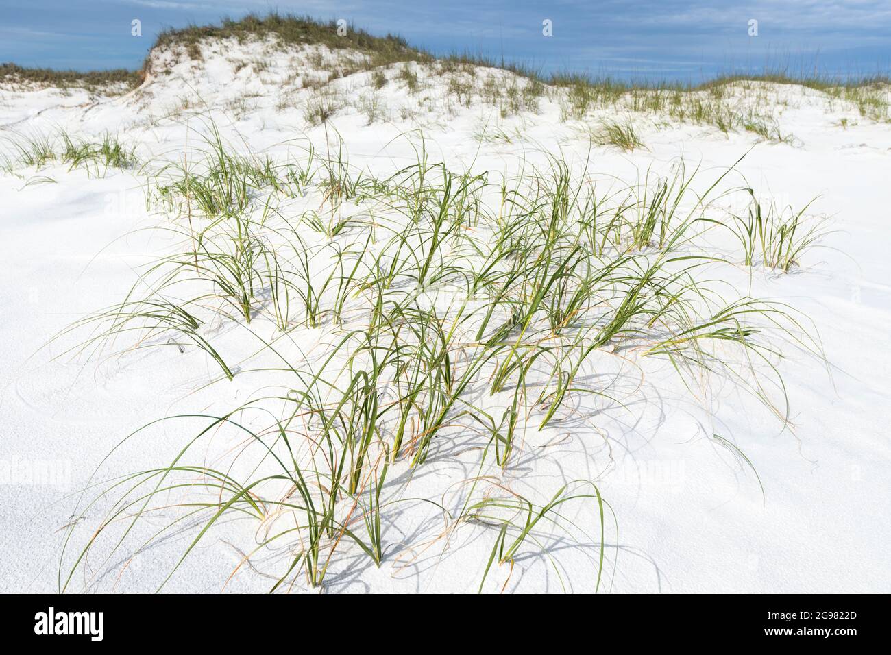 White Sand Dunes, Airman's Beach, Okaloosa Island, Florida, USA Foto Stock