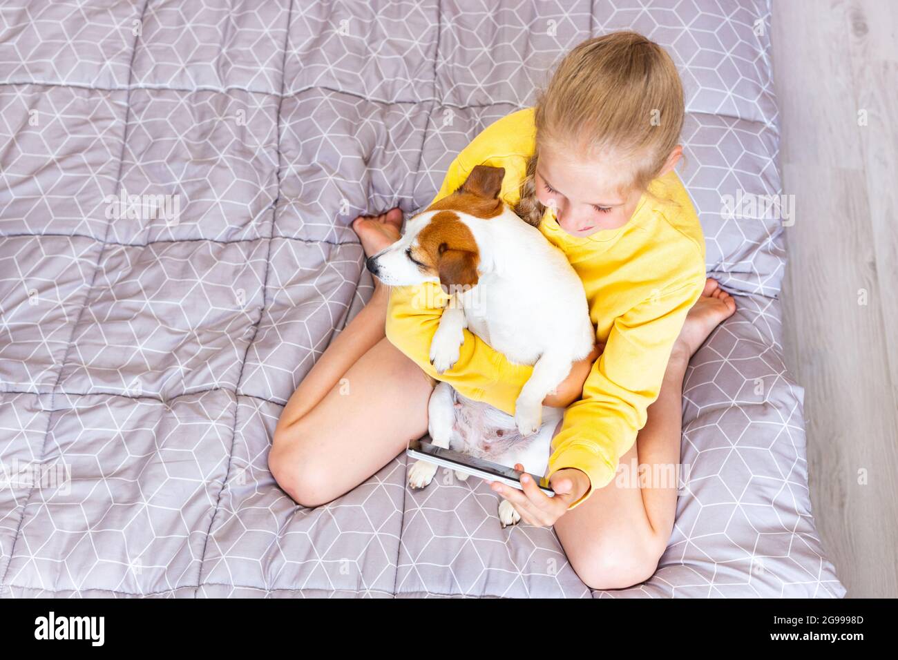 Una ragazza adolescente con un telefono cellulare, abbracciando un cane Jack Russell Terrier, comunica sui social network o via Zoom con amici o familiari, fa un Foto Stock