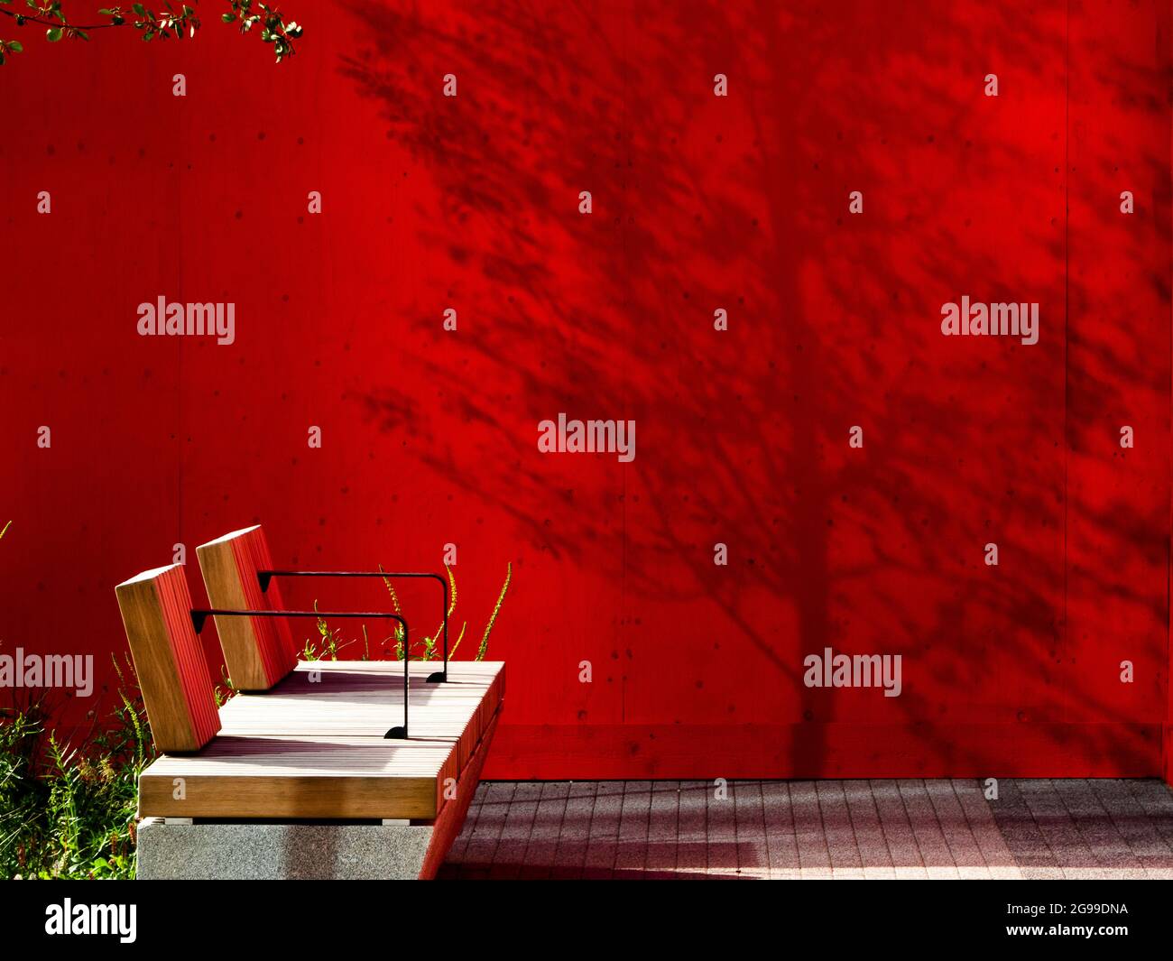 Panca di legno, parete rossa e ombra di albero, Newcastle upon Tyne, Tyneside, Foto Stock