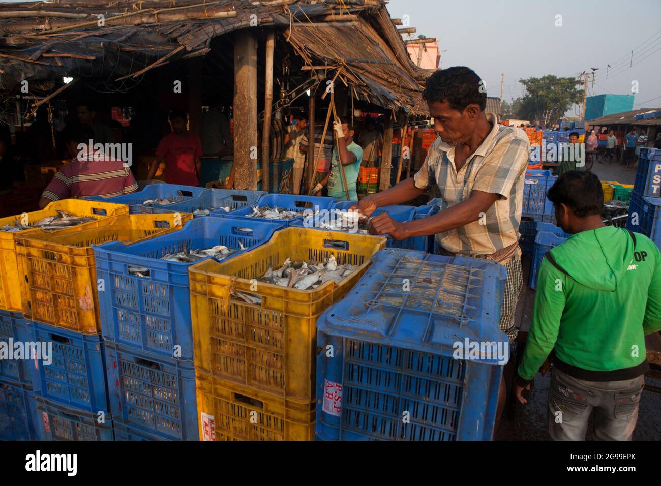 Attività trafficate nel mercato all'ingrosso del pesce di Digha, Bengala Occidentale, India, una spiaggia turistica più popolare del Bengala e uno dei più grandi mercati del pesce. Foto Stock