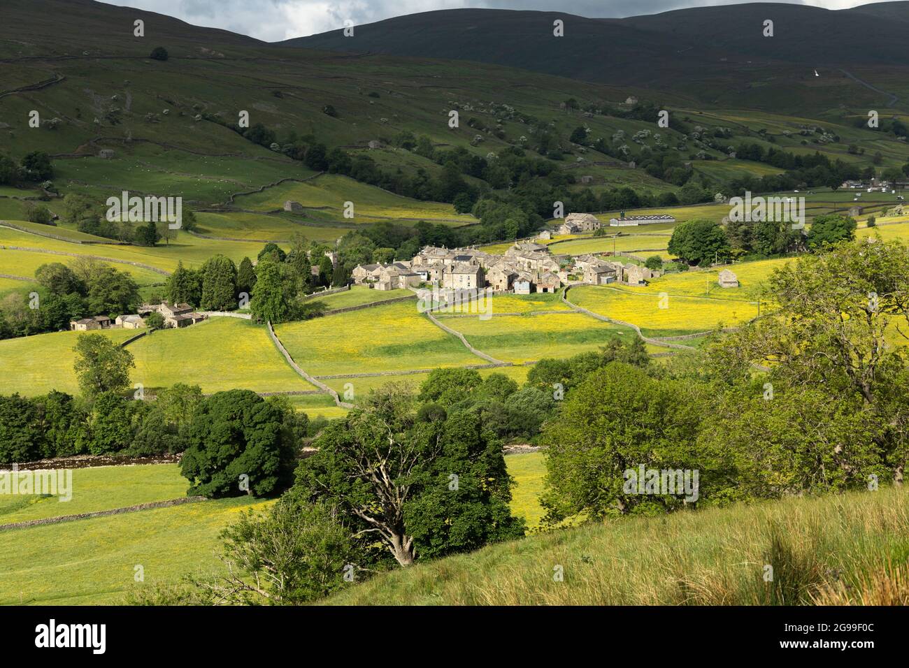 Muker, Swalledale nel mese di giugno, Yorkshire Dales National Park, North Yorkshire, Inghilterra Foto Stock