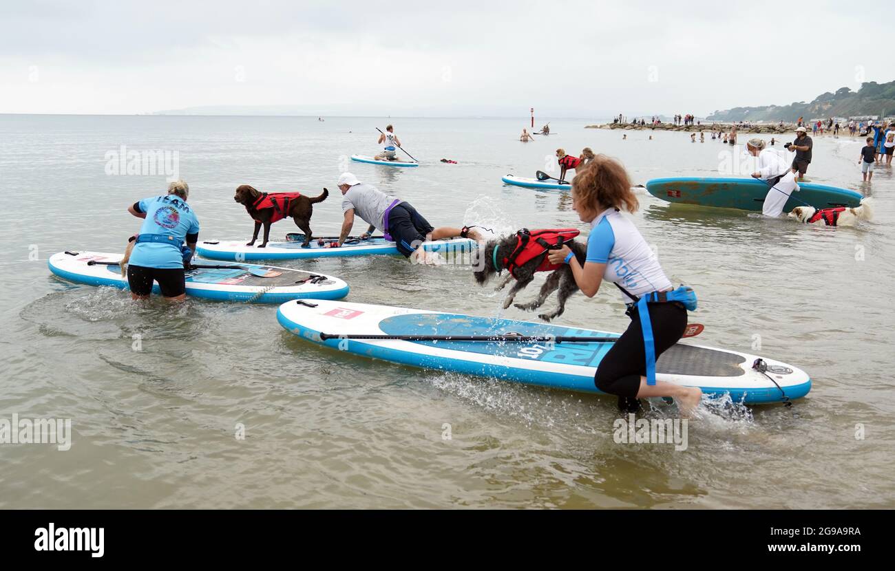 I concorrenti e i loro cani partecipano a Dogmasters, l'unico campionato del paese per il surf con i cani e il paddleboard, a Branksome Beach a Poole, Dorset. Data immagine: Domenica 25 luglio 2021. Foto Stock