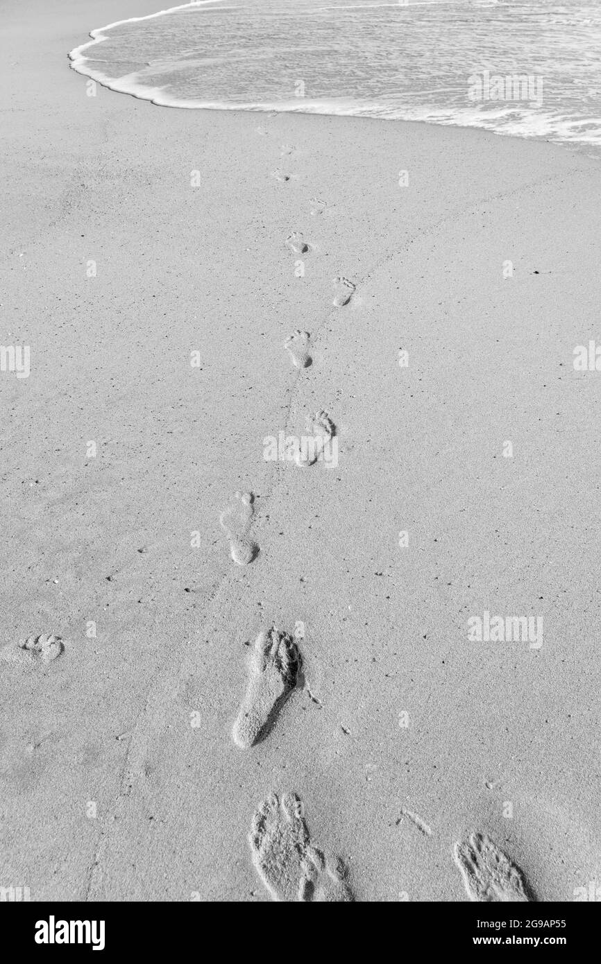 Primo piano di impronte umane sulla spiaggia di sabbia vicino all'acqua. Passi sulla riva. Foto in bianco e nero. Foto di alta qualità Foto Stock