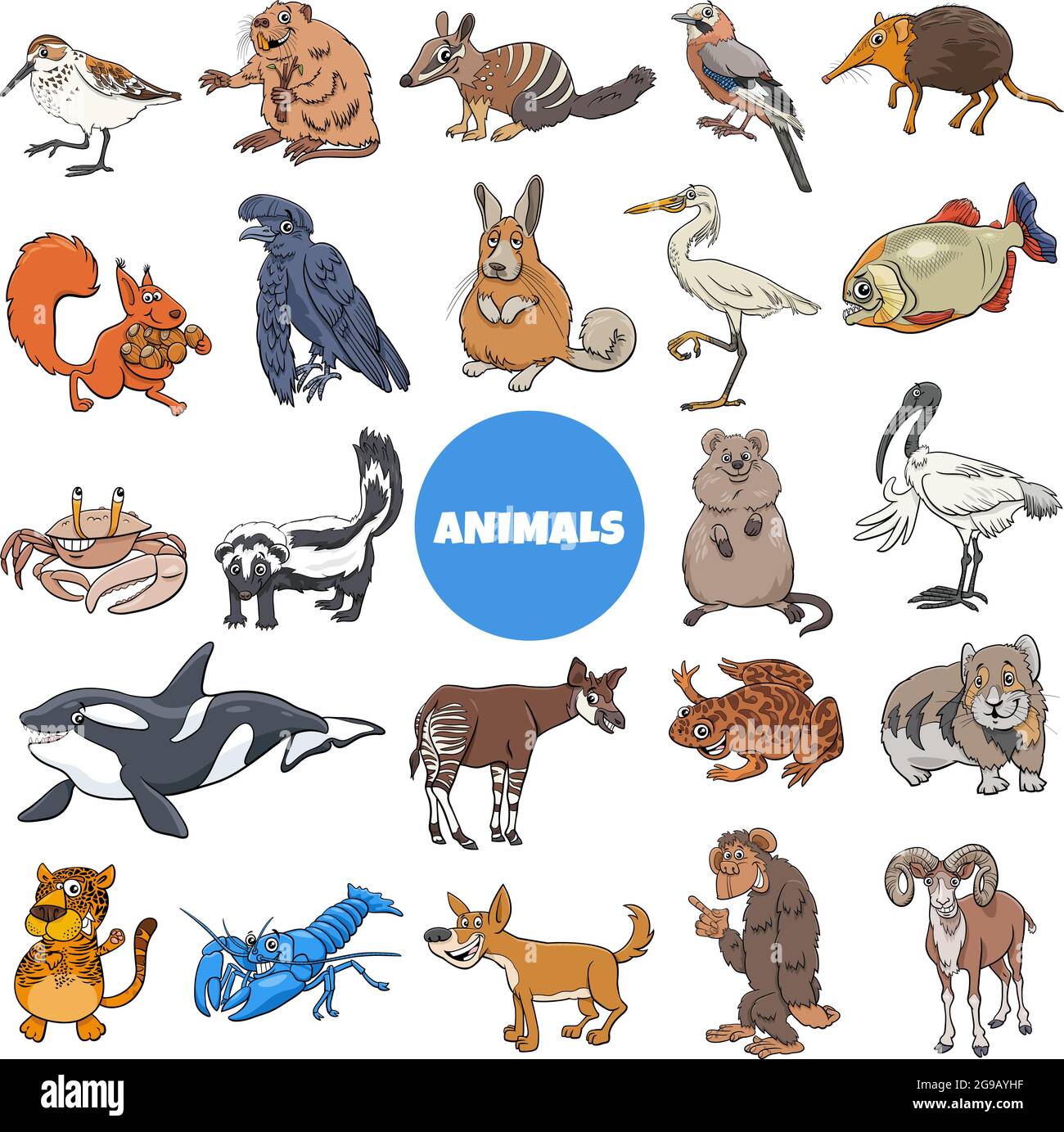 Illustrazione di cartone animato di divertenti animali selvatici specie caratteri grande set Illustrazione Vettoriale