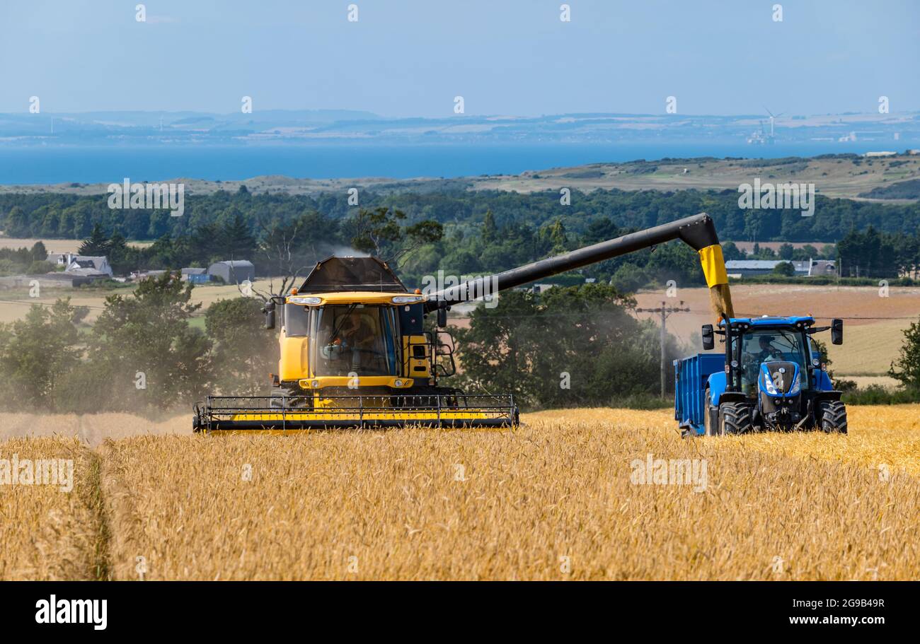 Byres Farm, East Lothian, Scozia, Regno Unito, 25 luglio 2021. Regno Unito tempo: Raccolta invernale dell'orzo: Il recente clima secco ha permesso ad un agricoltore di iniziare presto la raccolta. Nella figura: Una mietitrebbiatrice New Holland al lavoro che riempie un rimorchio del trattore Foto Stock
