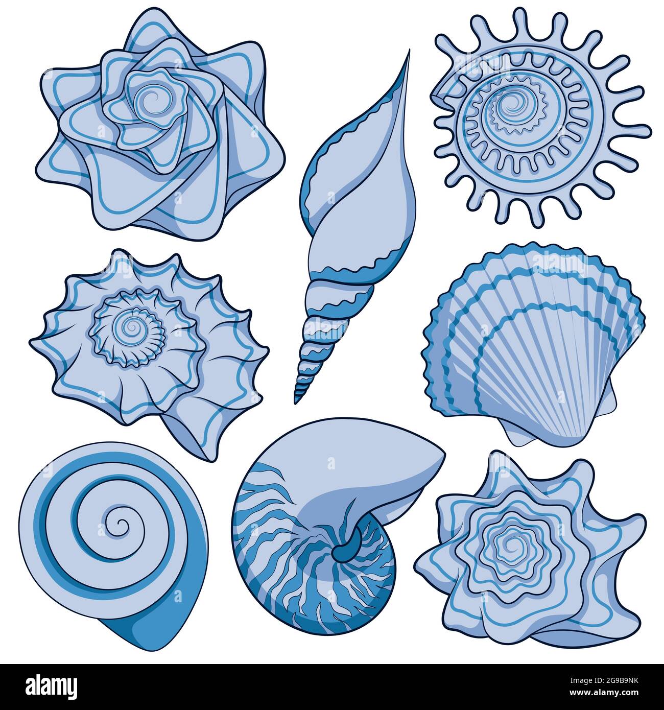 Set di conchiglie colorate. Oggetti vettoriali isolati su sfondo bianco. Illustrazione Vettoriale