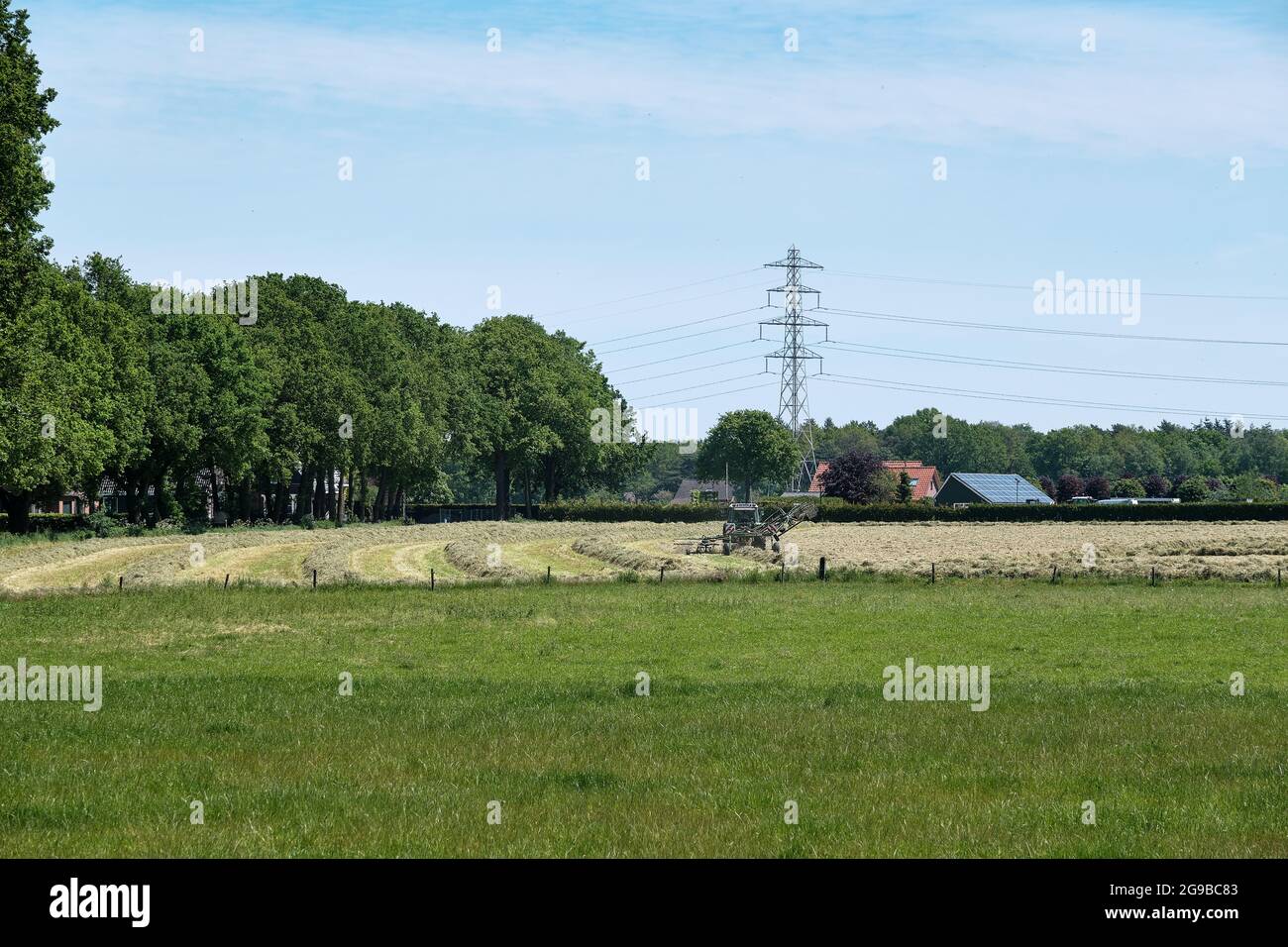 Dronten, Olanda giugno 1.2021:Grassland con trattore falciatrice e rastrello, erba pronta per essere invelata.agricoltori olandesi gara contro la pioggia per fieno, falciatura Foto Stock