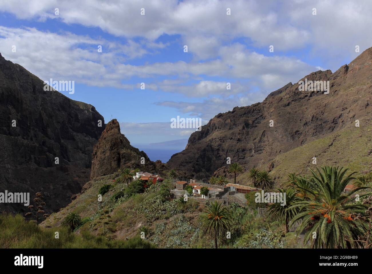 Paesaggio montano a Tenerife con alberi verdi e viste impareggiabili Foto Stock