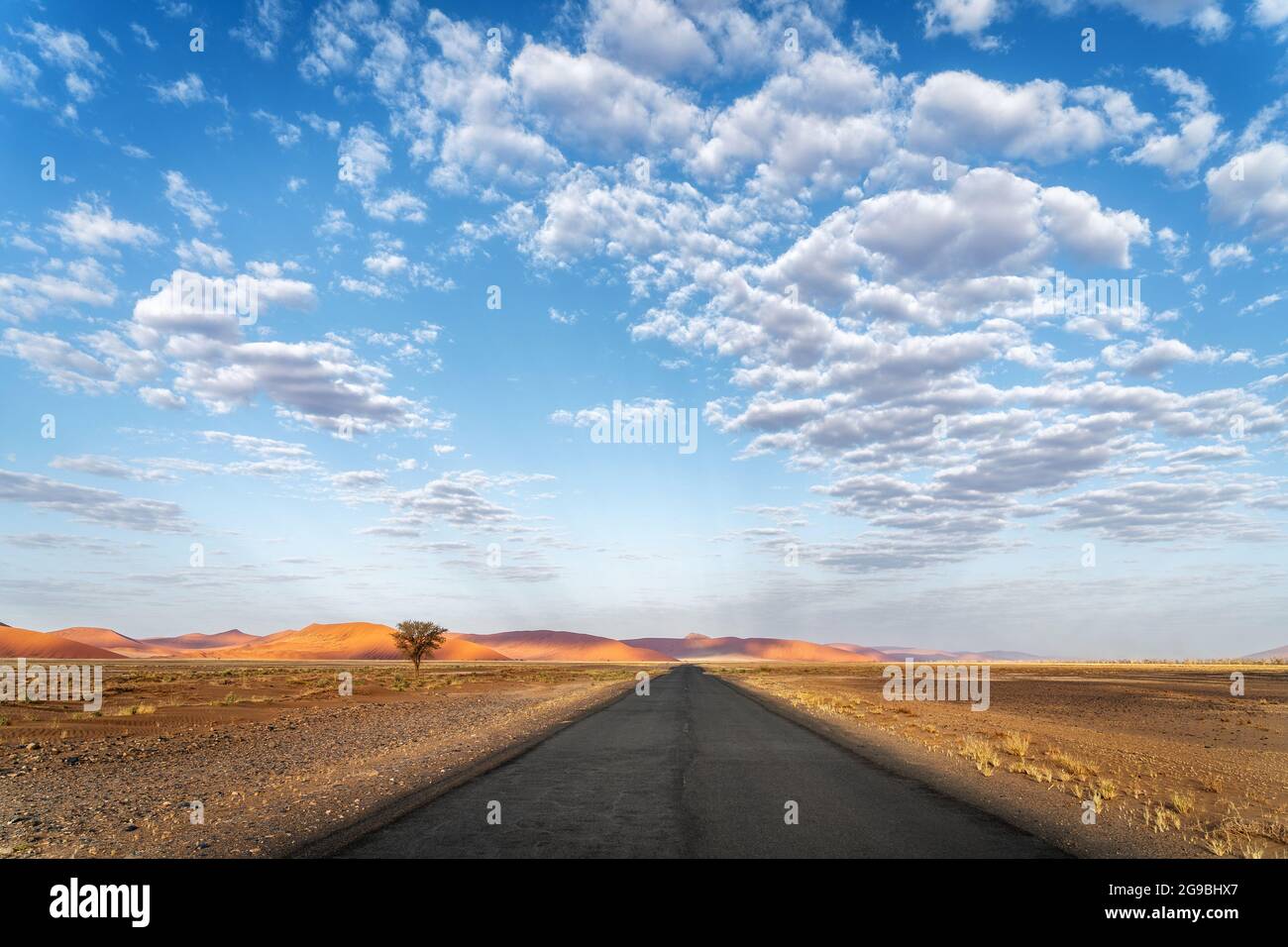 Strada panoramica vicino a Sossusvlei nel Parco Nazionale Namib-Naukluft, Namibia, Africa. Foto Stock