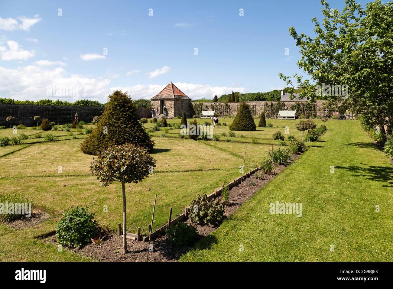 Arbusti e confini a Old Durham Gardens a Durham City, Inghilterra. Il giardino murato risale alla fine del 17 ° secolo. Foto Stock