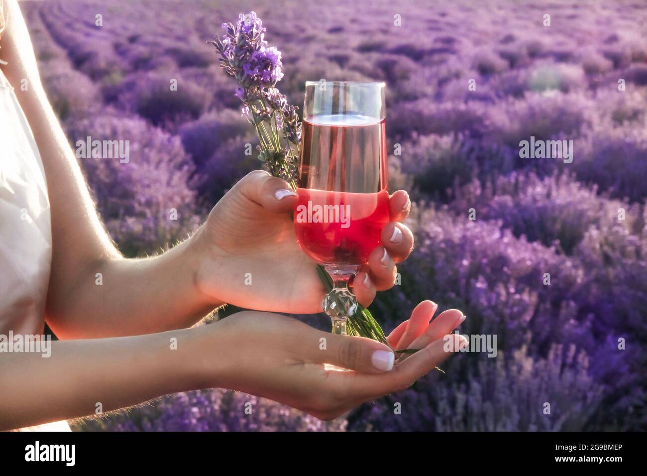 Ragazza in un pic-nic nel campo di lavanda della Provenza con un bicchiere di vino francese rosa e un bouquet di lavanda in mano al tramonto. Lavanda crescente Foto Stock