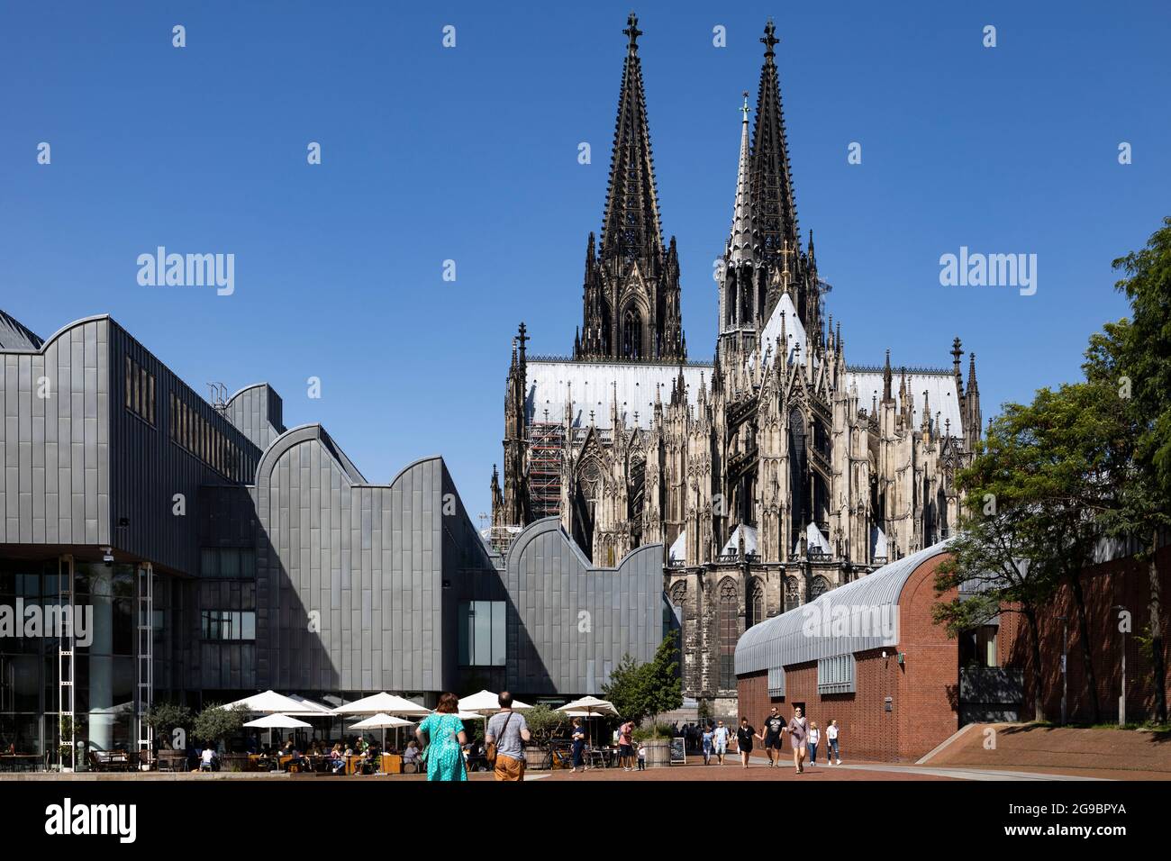 Cattedrale di Colonia, Kölner Dom, Colonia, Nord Reno-Westfalia, Germania, Europa Foto Stock