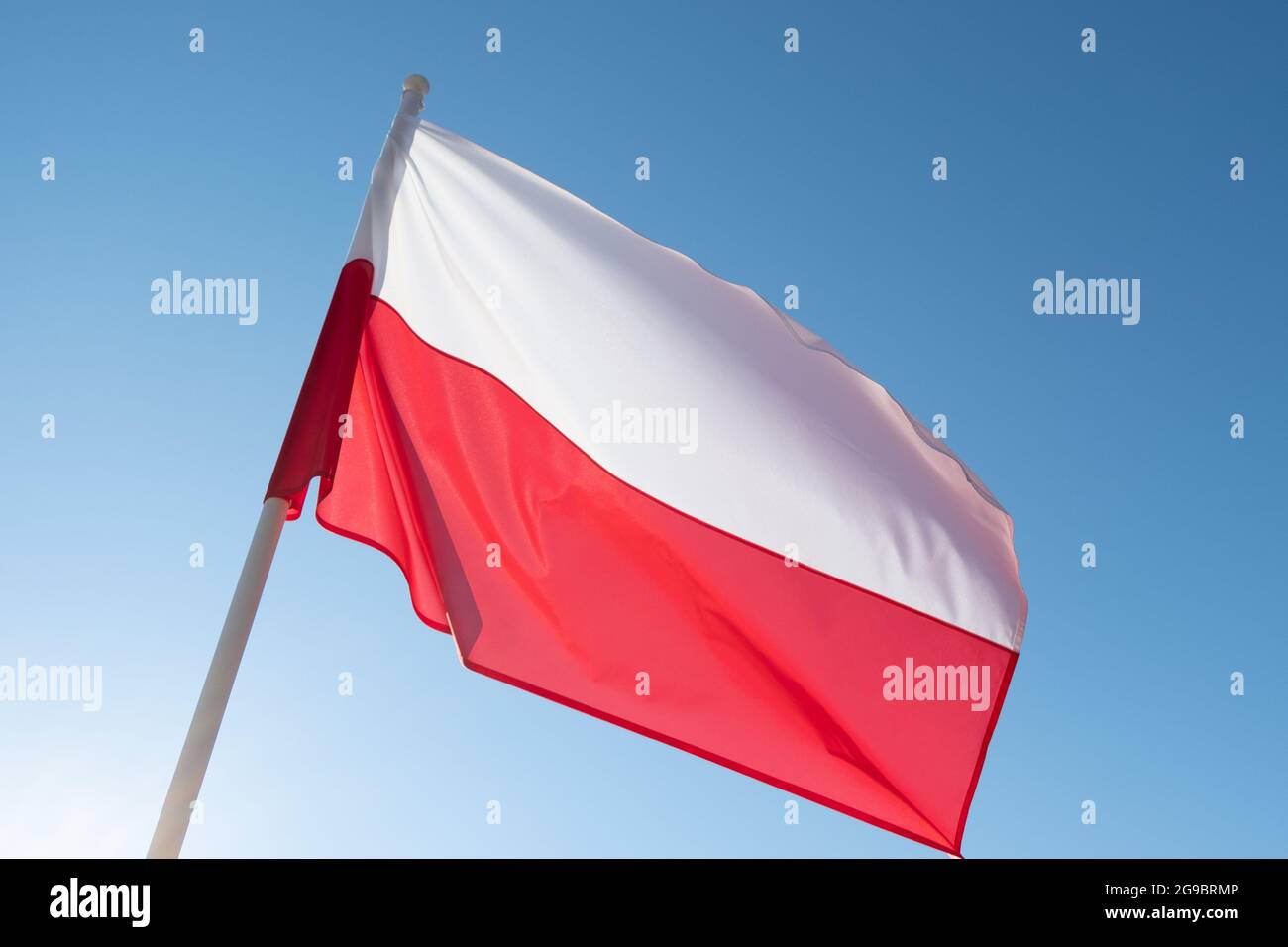 Bandiera della Polonia su sfondo blu cielo. Bandiera polacca che oscilla al vento e alla luce del sole Foto Stock