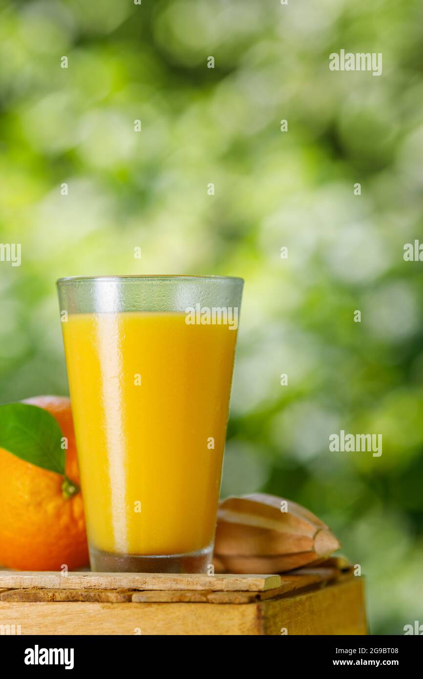 bicchiere di succo d'arancia fresco spremuto Foto Stock