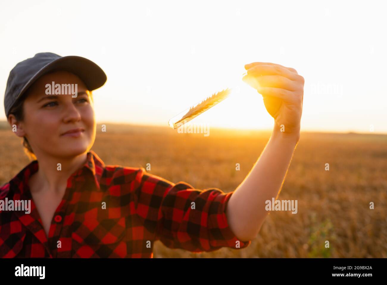 Una donna contadina con un tablet digitale tiene in mano un orecchio di grano in una provetta. Foto Stock