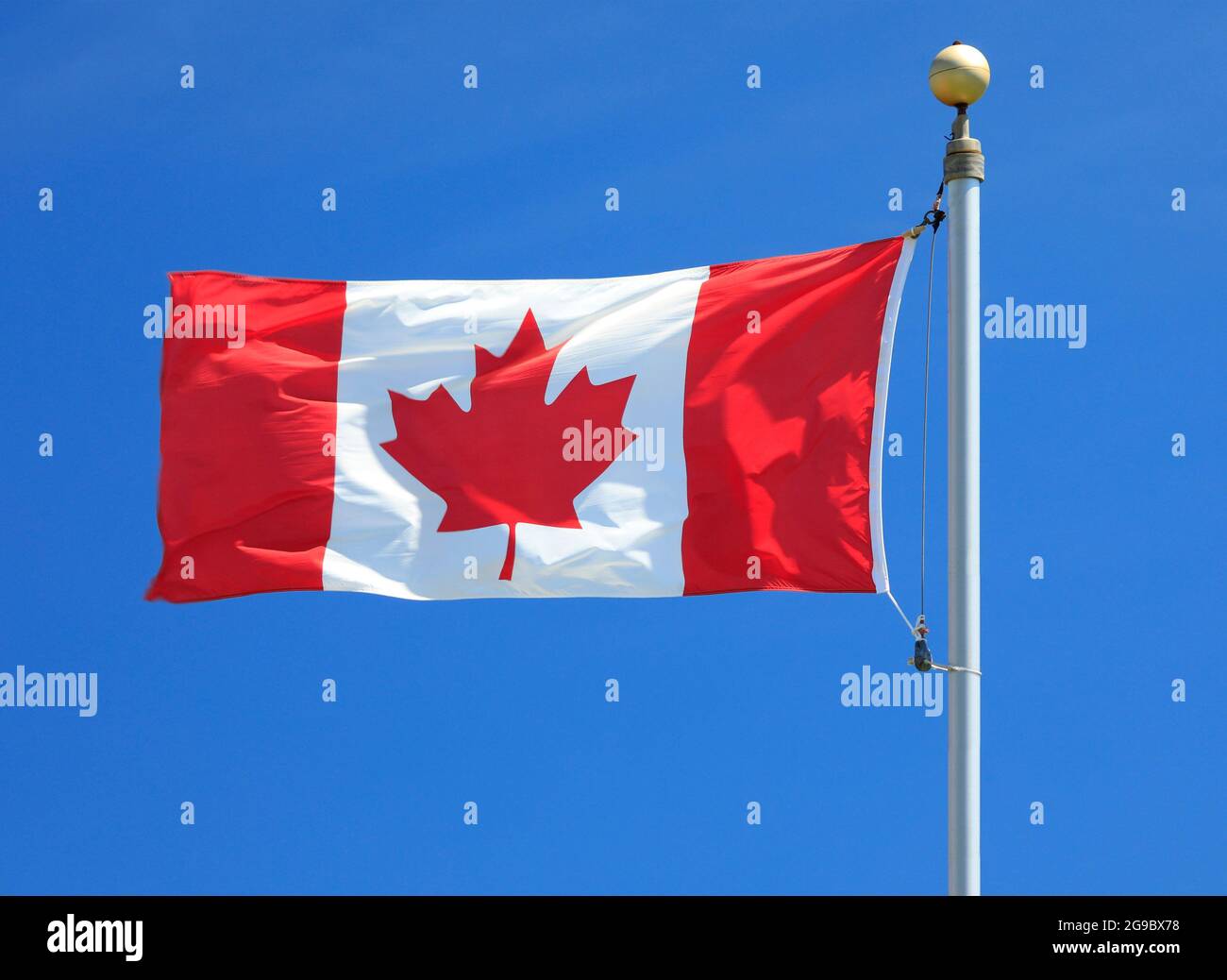 Bandiera canadese sventolando nel vento Foto Stock