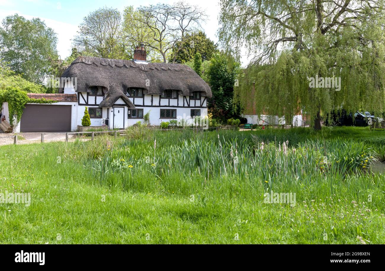 Il duck stagno nel centro del villaggio Oakley con tradizionali cottage con tetto di paglia sullo sfondo, Oakley, Hampshire, Inghilterra, Regno Unito. Foto Stock