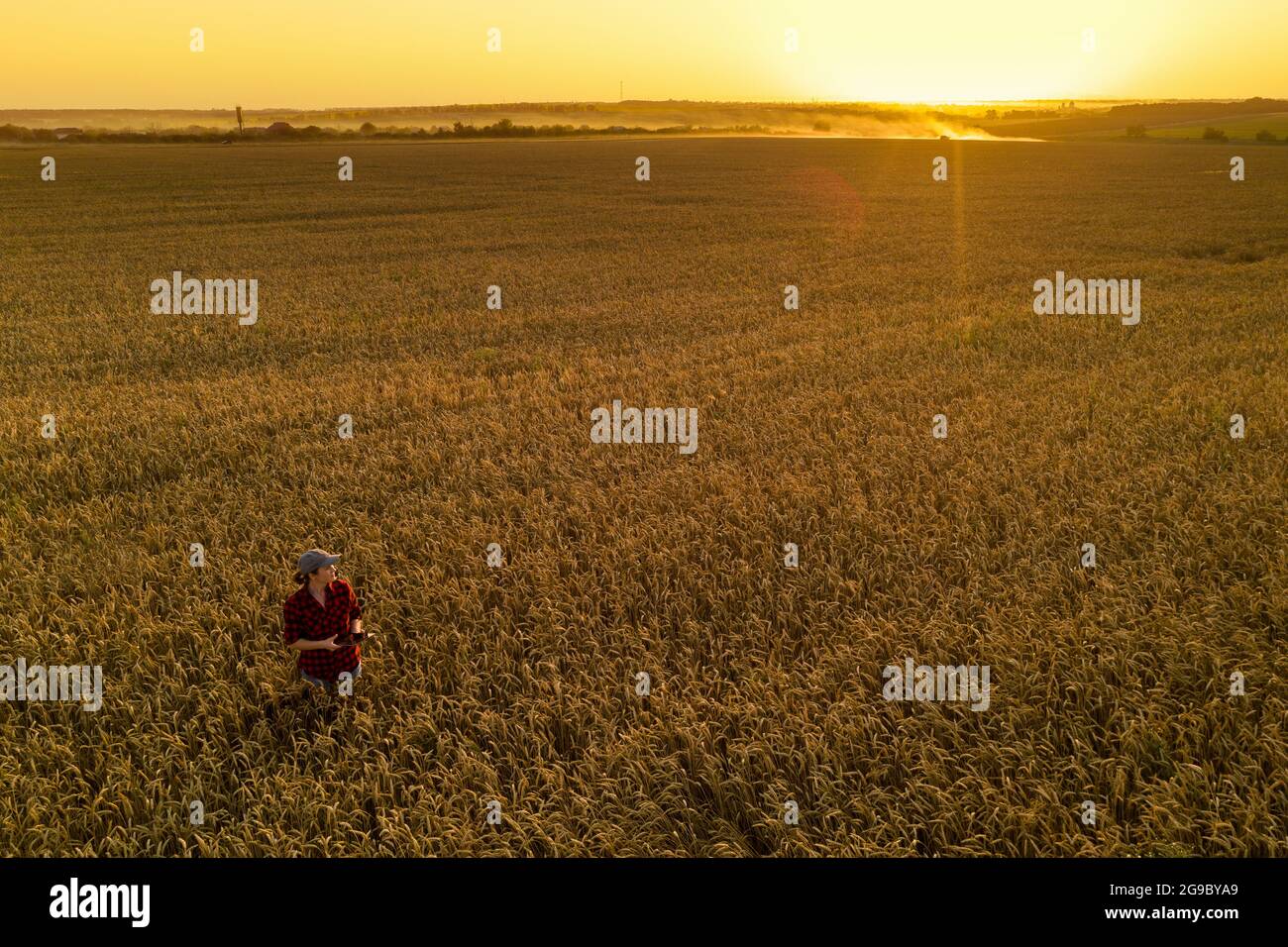 Coltivatore con tablet digitale su un campo di grano. Agricoltura intelligente e trasformazione digitale in agricoltura. Foto Stock