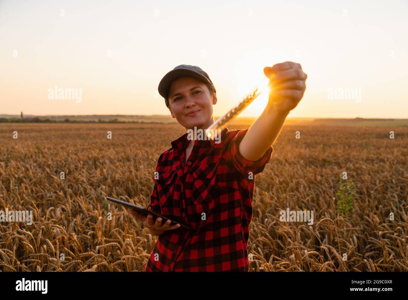 Una donna contadina con un tablet digitale tiene in mano un orecchio di grano in una provetta. Foto Stock