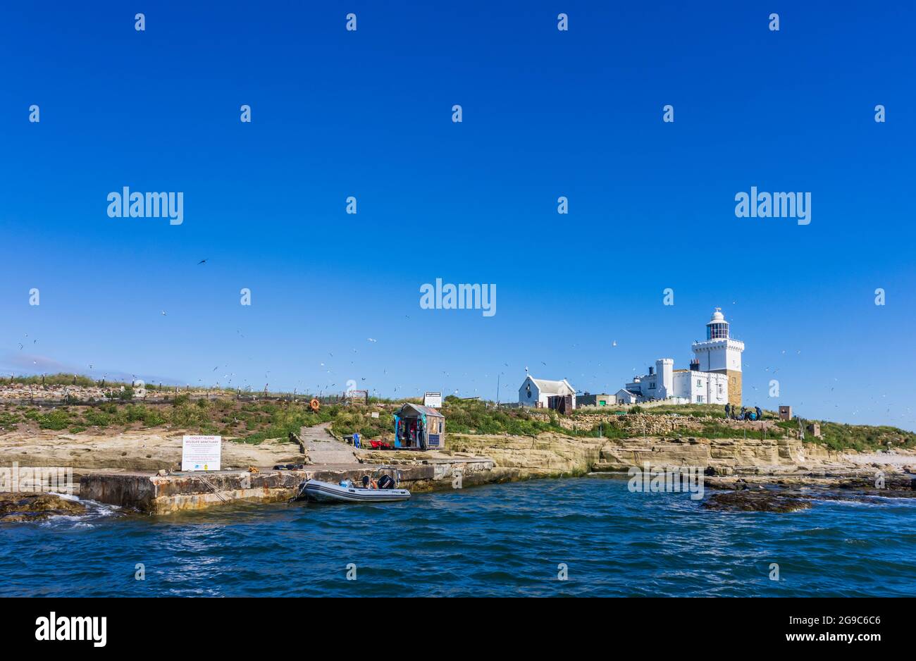 Victorian Trinity House Faro e casetta dei custodi, Coquet Island santuario della fauna selvatica sulla costa Northumbria, fuori passeggiata, Inghilterra nord-est Foto Stock