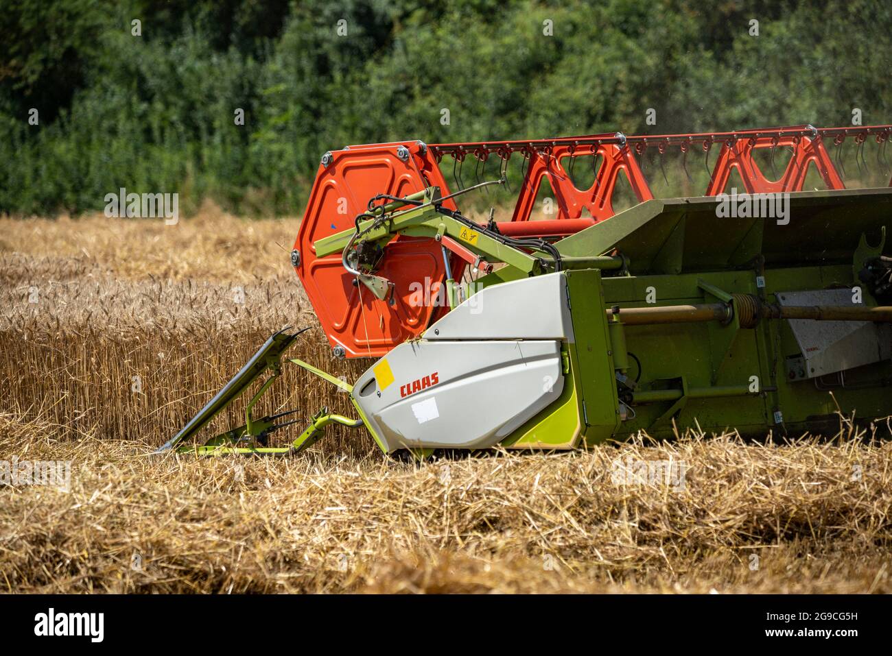 Landwirtschaft, Getreideernte, Weizen, Mähdrescher bei der Ernte auf einem Weizenfeld, bei Niederkrüchten, NRW, Deutschland, Foto Stock