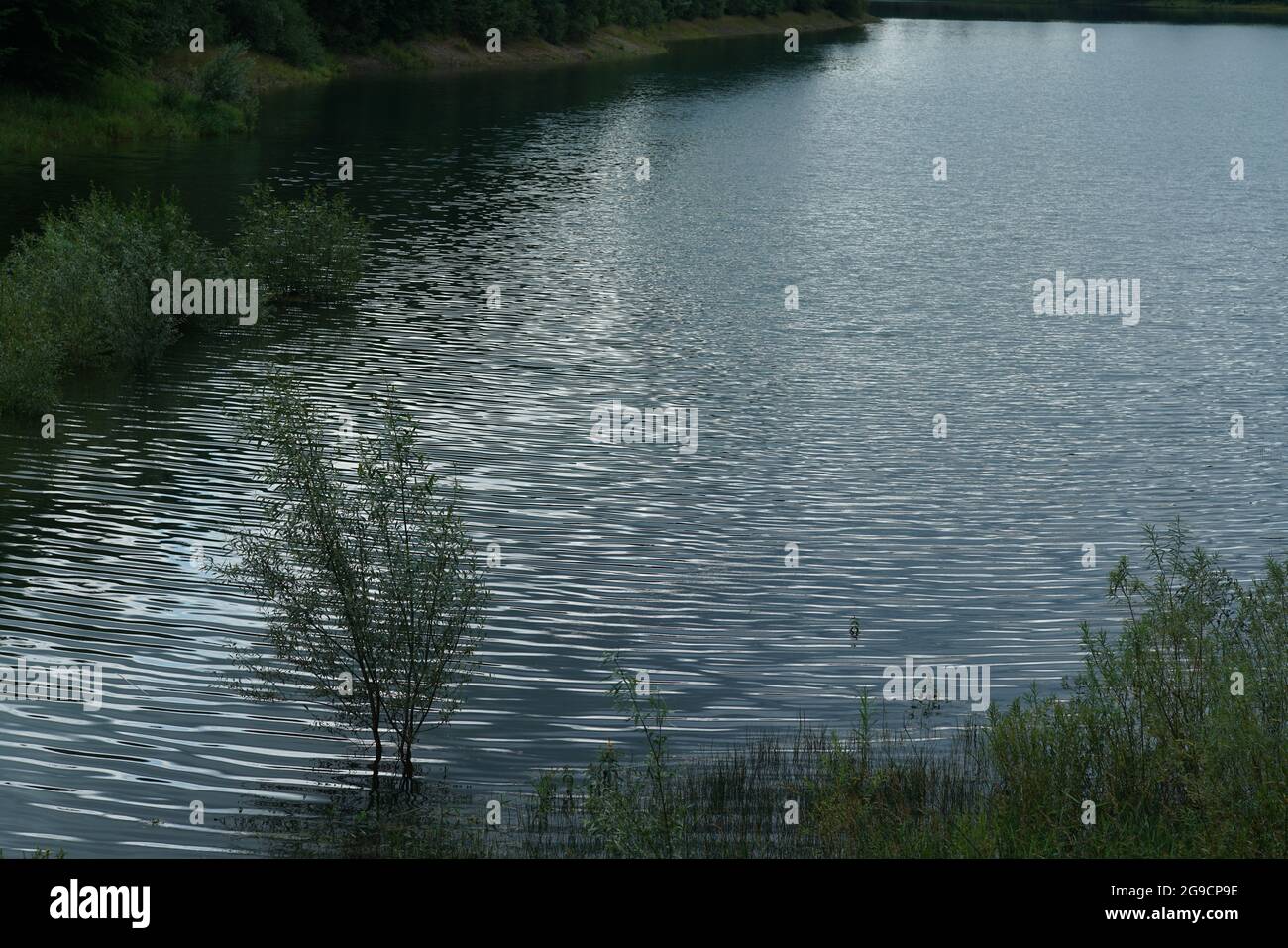 Serbatoio dell'acqua utilizzato per raccogliere acqua potabile vicino a Breitenbach, Rothaargebirge Foto Stock