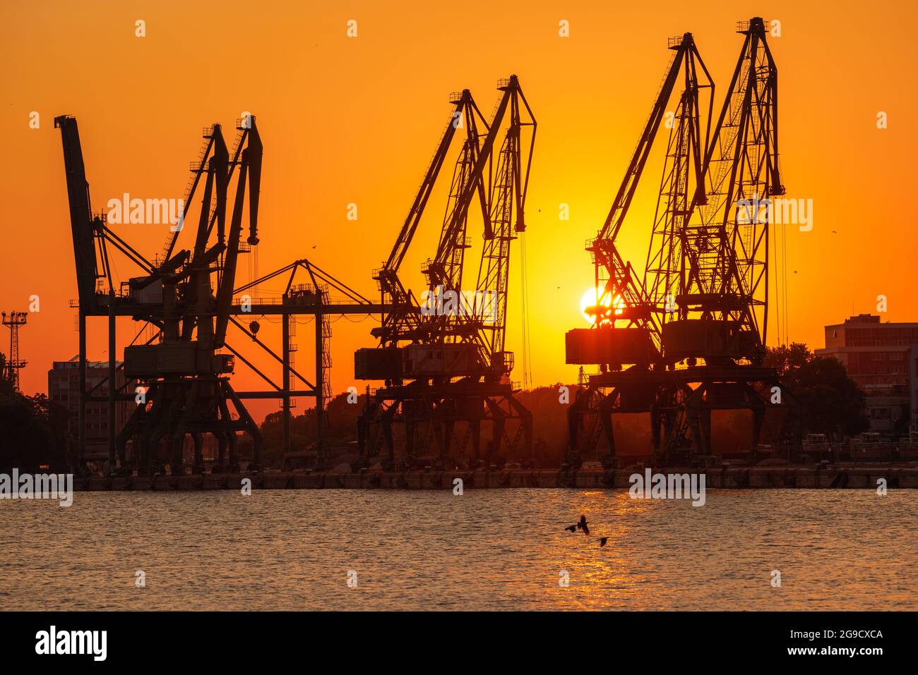 Tramonto sul porto marittimo e gru industriali, Varna, Bulgaria Foto Stock