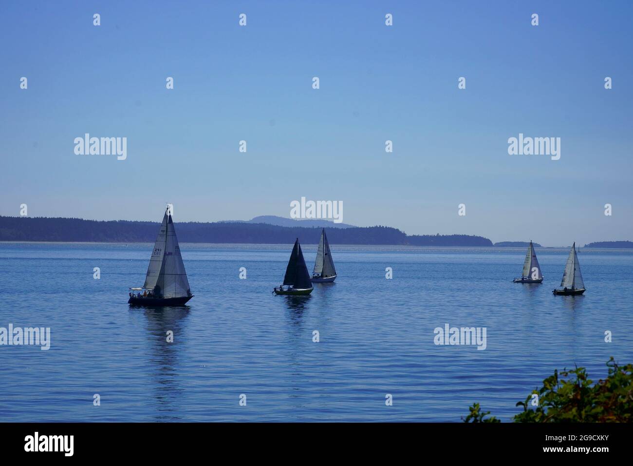 Barche a vela in una gara a vento leggero. Foto Stock