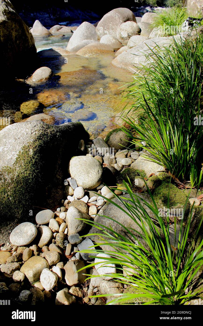 Astratto sfondo foto natura preso dal bordo di un fiume in Mossman Gorge. Foto Stock