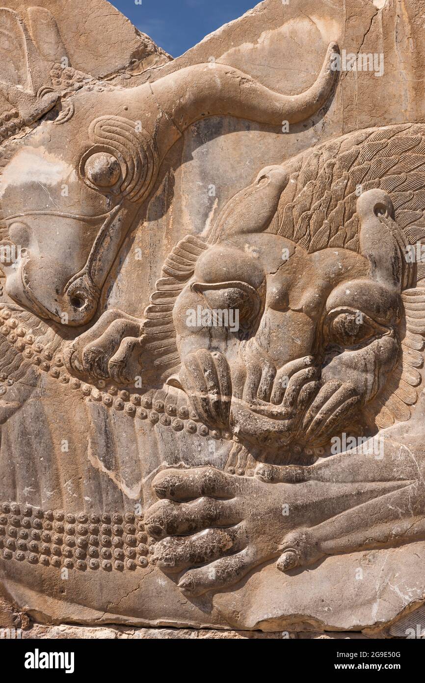 Persepolis, bassorilievo del leone, palazzo di Xerxes, capitale dell'impero di Achemenid, provincia di Fars, Iran, Persia, Asia occidentale, Asia Foto Stock