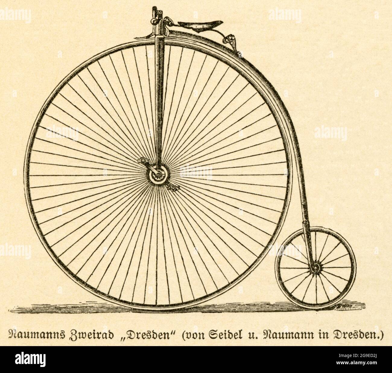 Germania, Sassonia, Dresda, storia delle biciclette, veicoli a ruote alte, INFORMAZIONI-AGGIUNTIVE-DIRITTI-AUTORIZZAZIONE-NON-DISPONIBILI Foto Stock