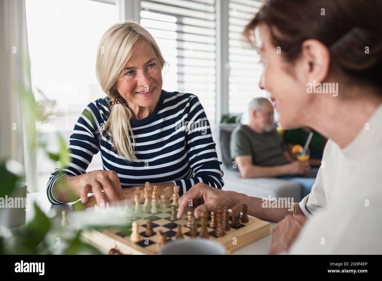 Gruppo di amici senior che giocano giochi da tavolo all'interno, festa e concetto di riunione sociale. Foto Stock