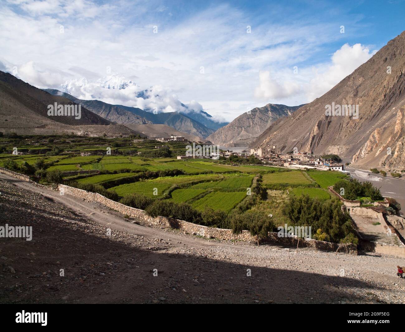 Il Nilgiri Himal sopra campi terrazzati, Kagbeni, Mustang Foto Stock