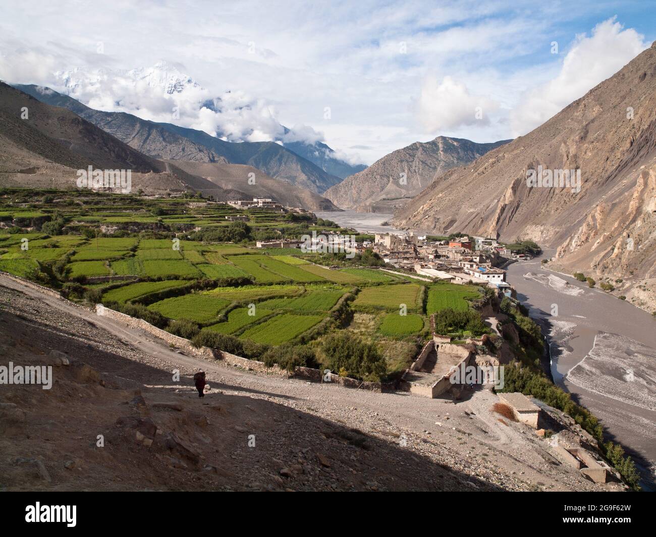 Il Nilgiri Himal sopra campi terrazzati, Kagbeni, Mustang Foto Stock