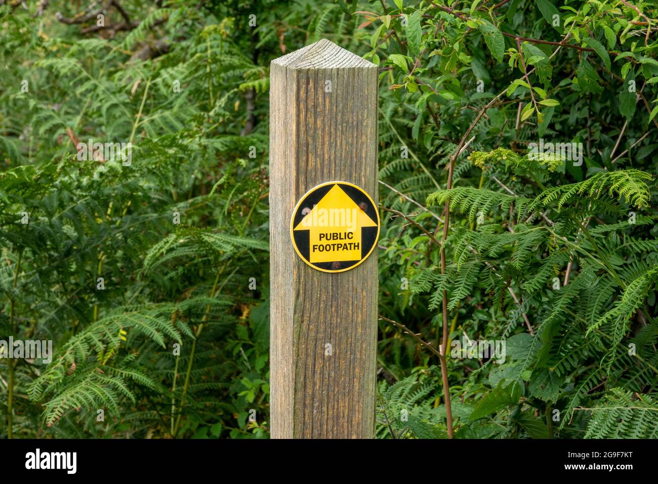 Sentiero pubblico segno su un tondo con freccia gialla su sfondo nero montato su un palo di legno che punta dritto. Foto Stock