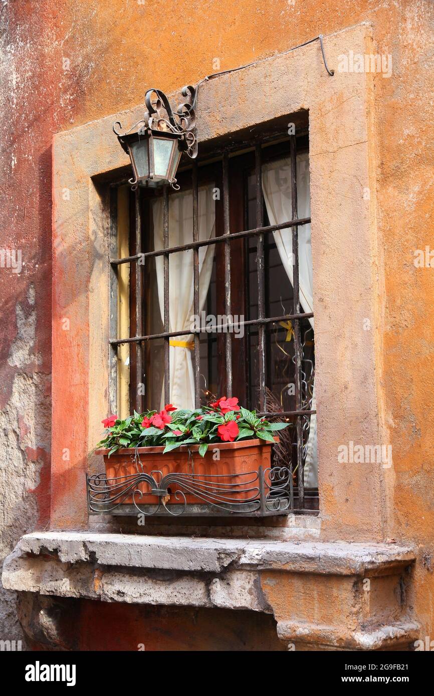 Roma città, Italia. Caratteristiche architettoniche: Vecchia finestra con cassa di fiori New Guinea impaziens. Foto Stock