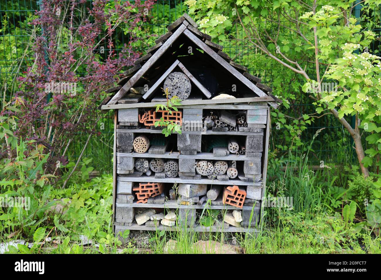 Insect hotel in un giardino botanico. Rifugio per insetti da ibernare in inverno. Foto Stock