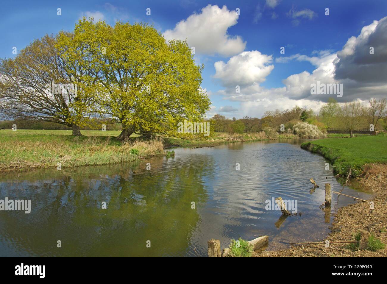 River Stour vicino a Flatford, Suffolk, Inghilterra Foto Stock