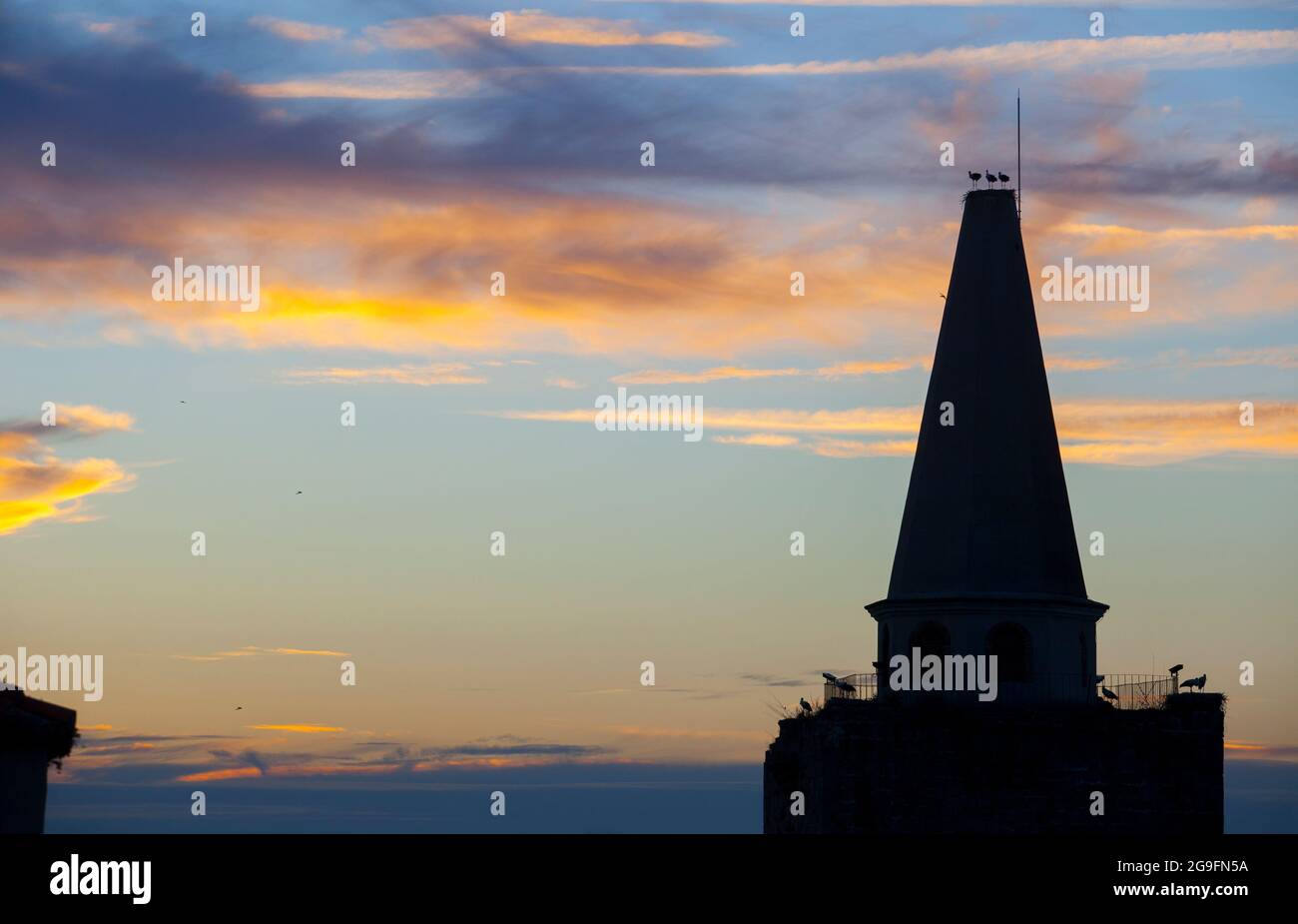 Galisteo, bellissima città murata dalla valle dell'Alagon. Cicogne arroccate sulla torre la Picota al tramonto. Extremadura, Spagna Foto Stock