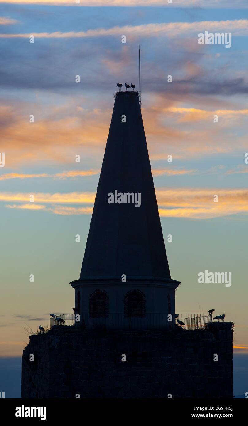 Galisteo, bellissima città murata dalla valle dell'Alagon. Cicogne arroccate sulla torre la Picota al tramonto. Extremadura, Spagna Foto Stock