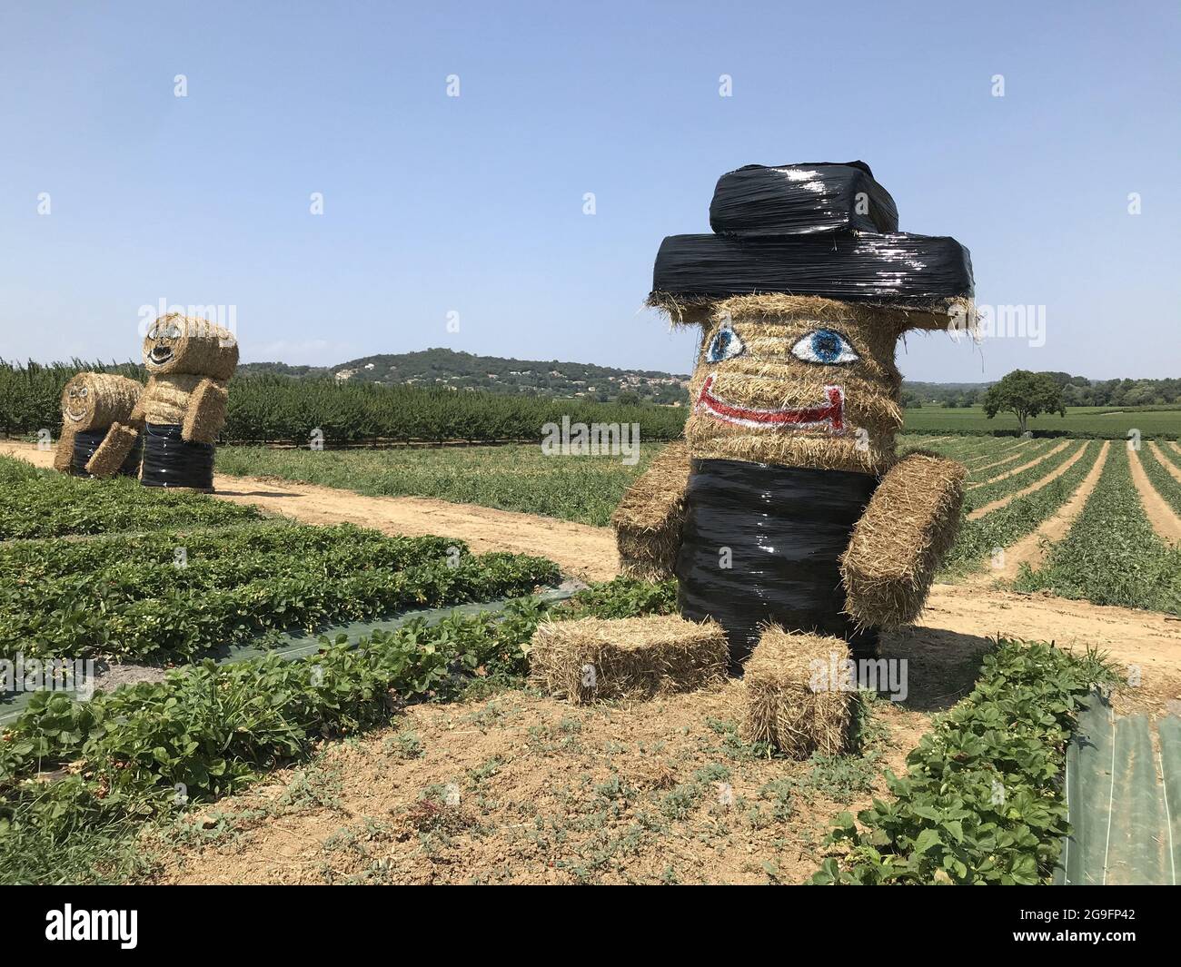 Opere d'arte insolite di un contadino con balle di fieno a Maruejols-les-Gardon, Francia, il 22 luglio 2021. Foto di Patrick Aventurier/ABACAPRESS.COM Foto Stock