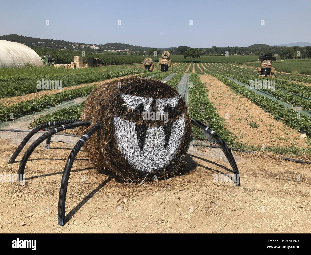Opere d'arte insolite di un contadino con balle di fieno a Maruejols-les-Gardon, Francia, il 22 luglio 2021. Foto di Patrick Aventurier/ABACAPRESS.COM Foto Stock